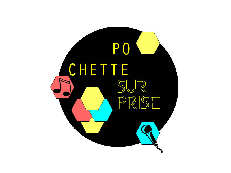 la France Pittoresque dans Pochette Surprise, anecdotes en chansons...