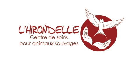 COURS LA VILLE : 101.4 FM