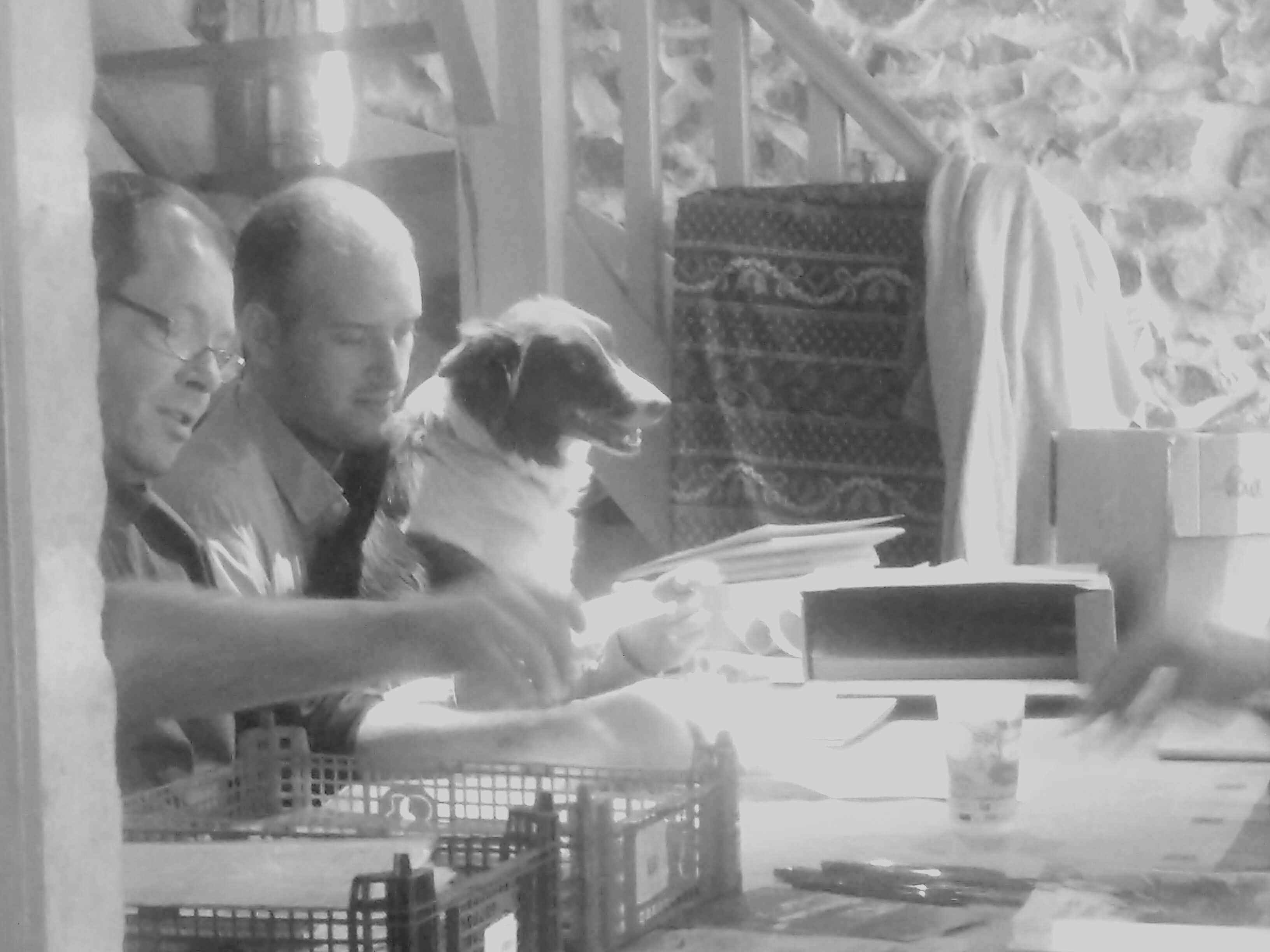 Toute l'équipe est sur le pont, même le chien