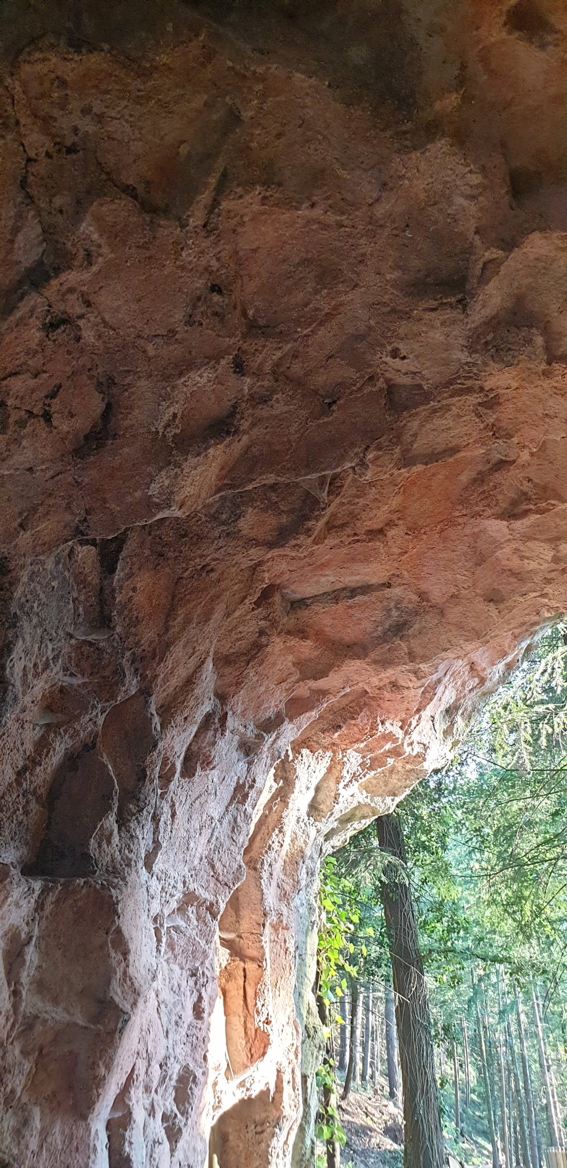 Le Clos du Crêt Le Clos du Crêt
