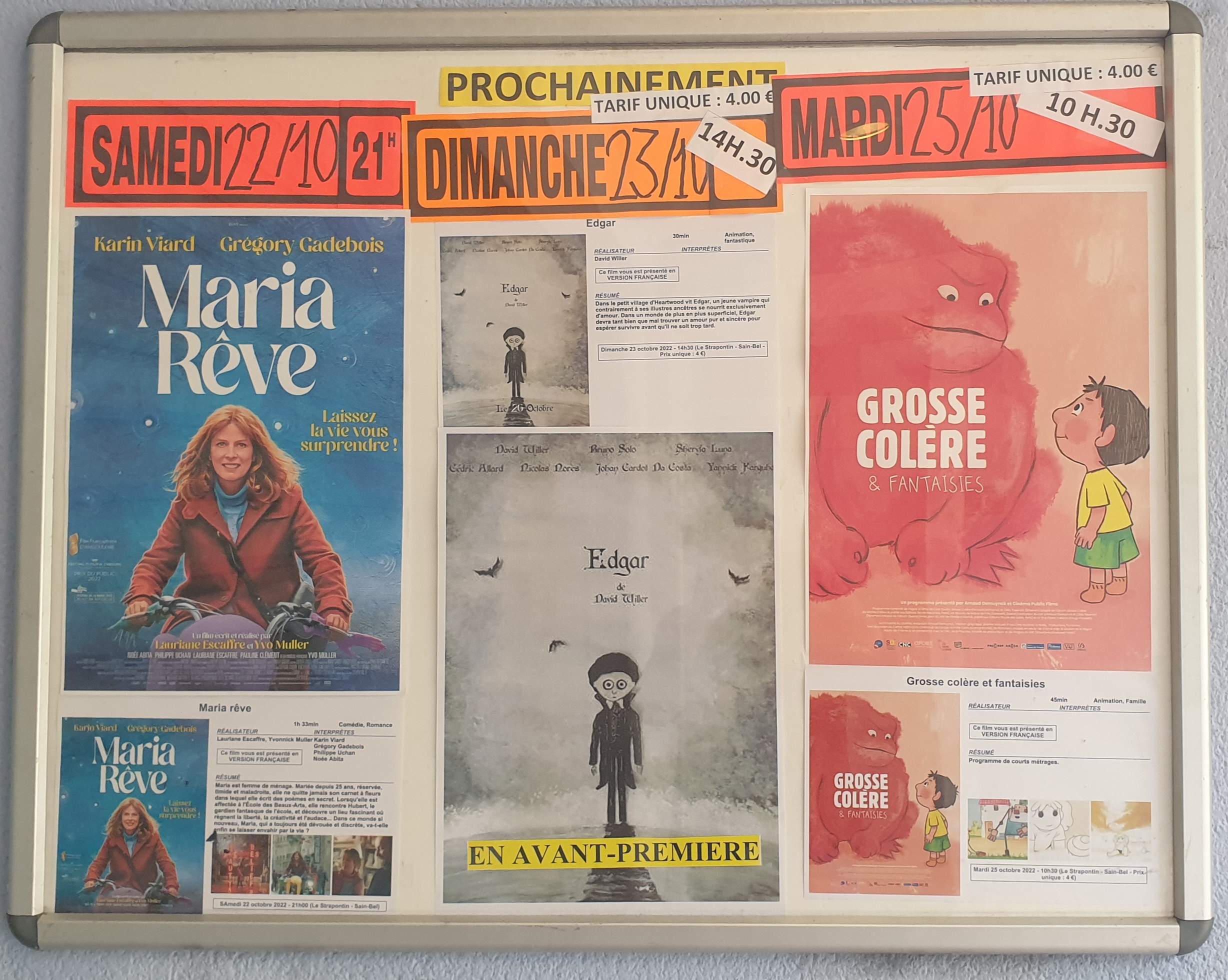 Dans la vitrine, l’affiche Dans la vitrine, l’affiche