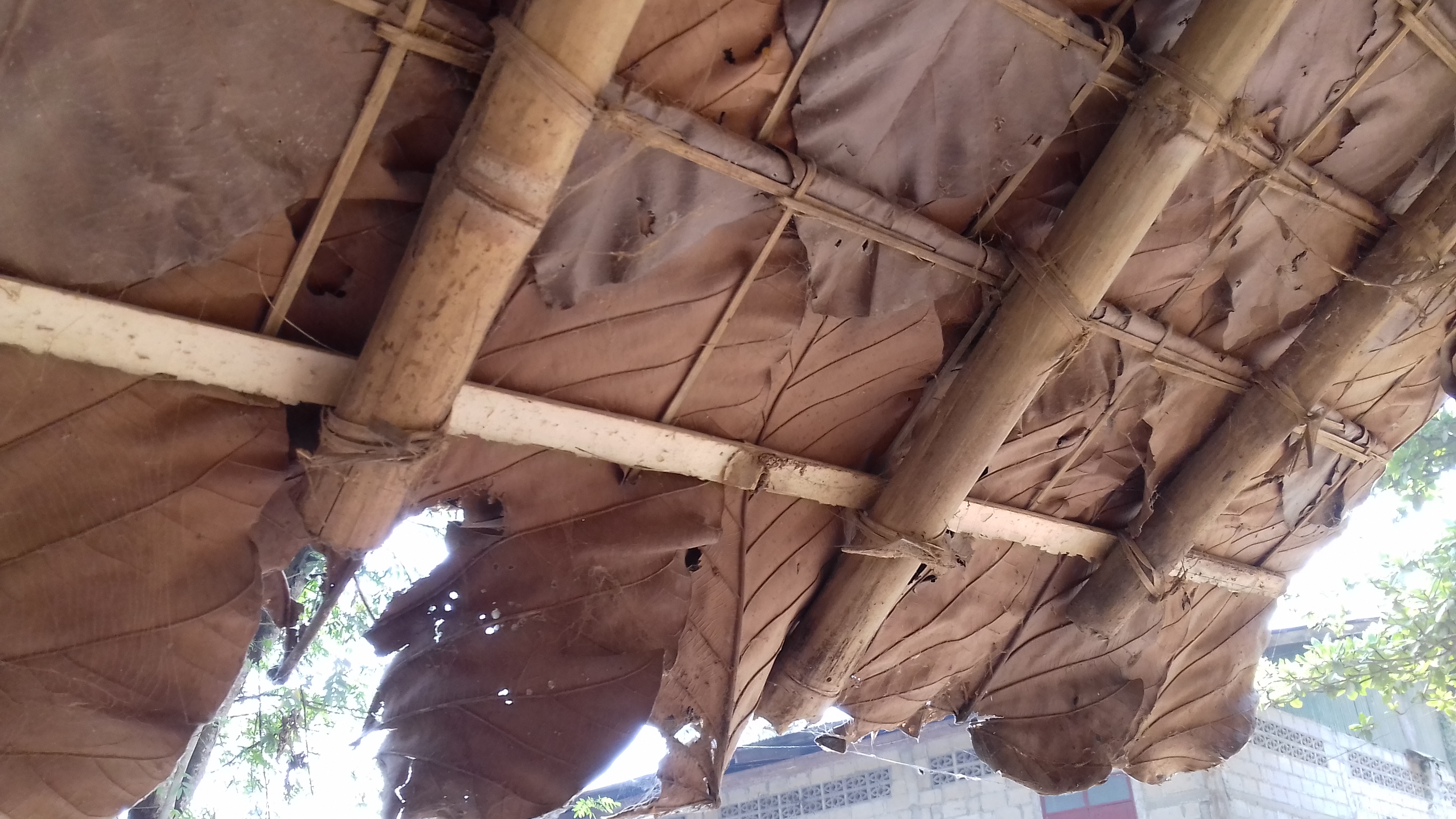 Le campement et son toit