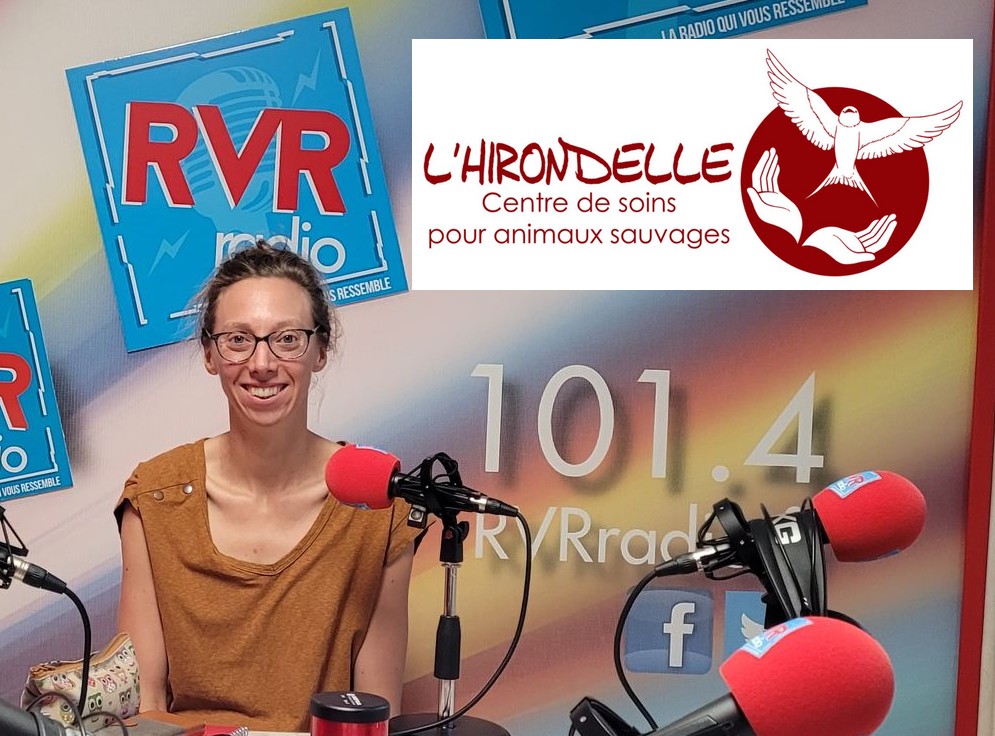 Anne Fourier - L’hirondelle