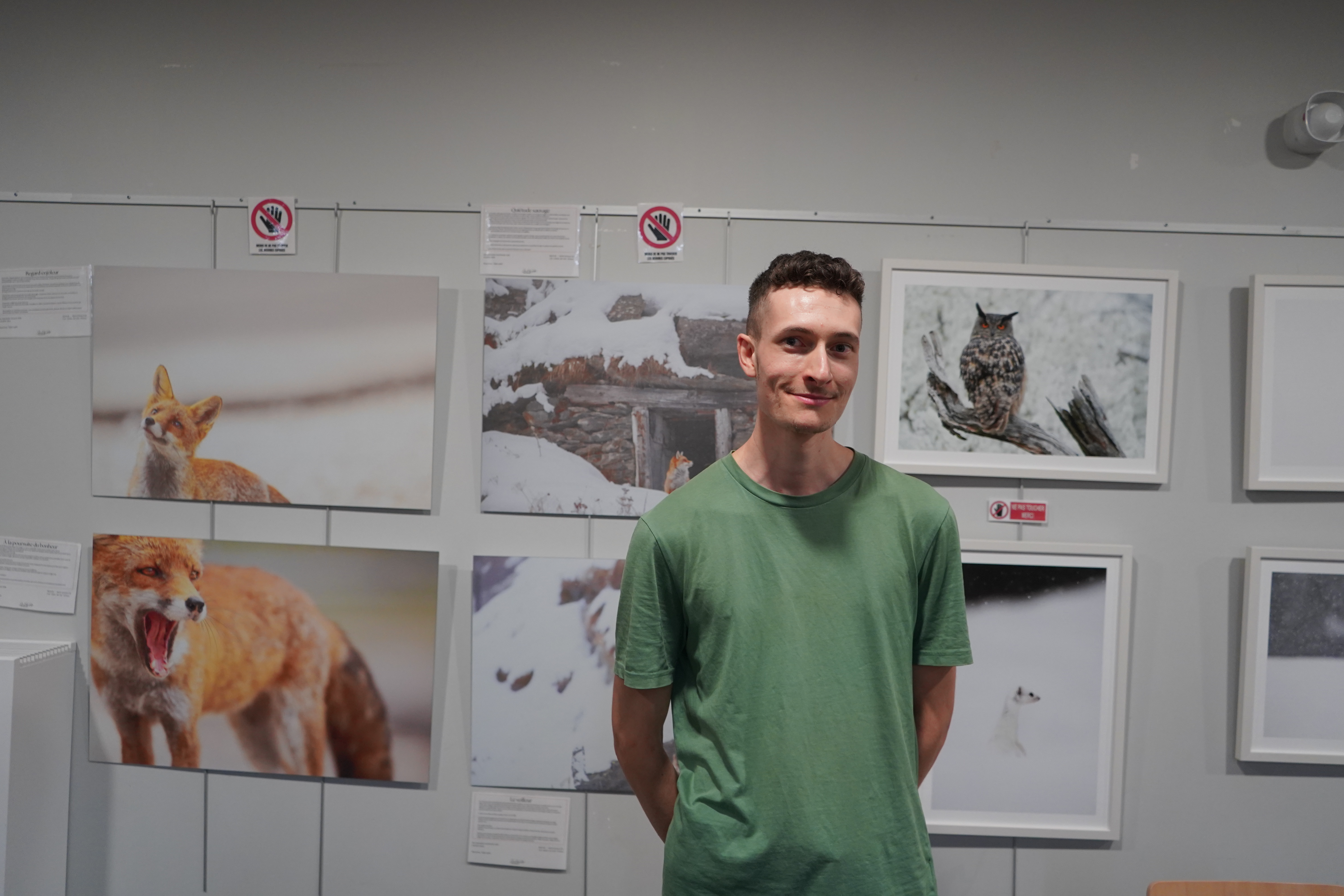 Photographe animalier - Jean-Rémy Pigot