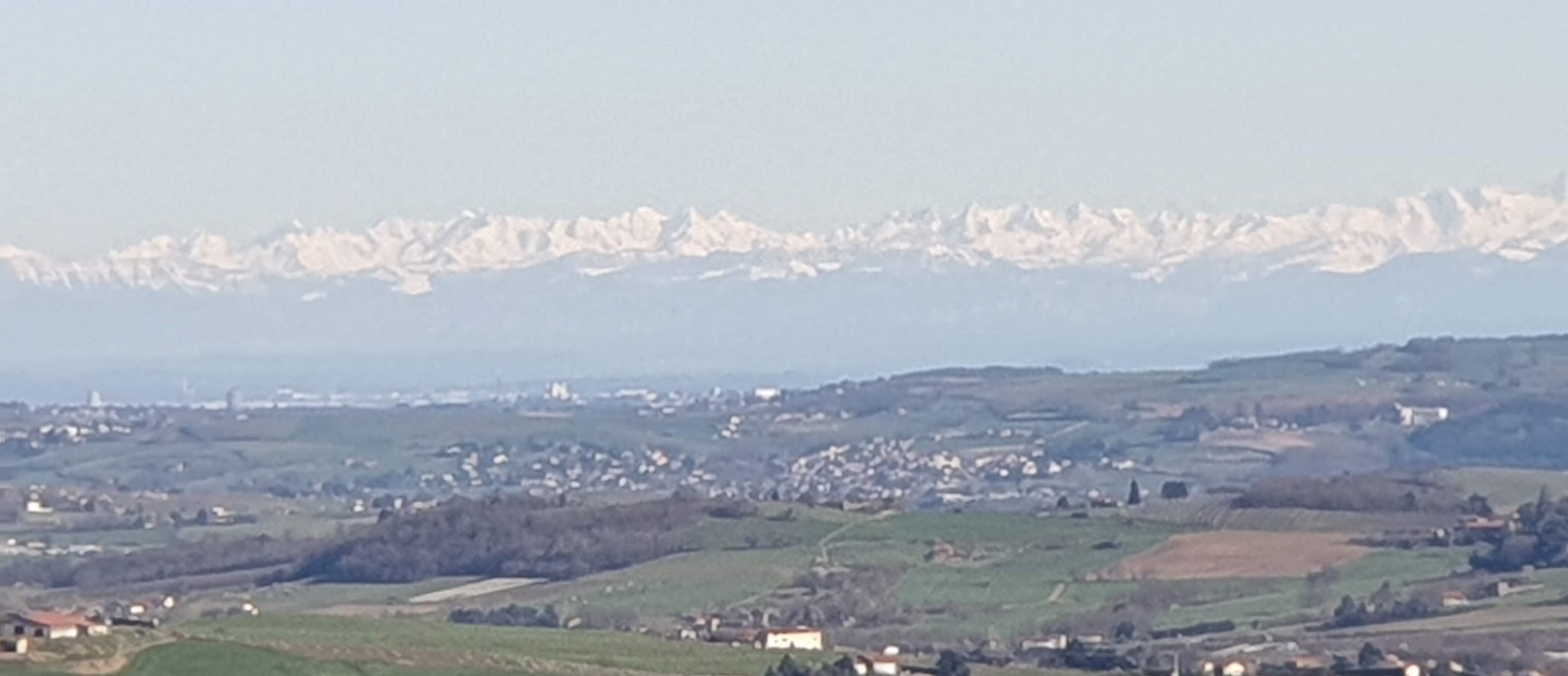 Cani-rando dans les environs de Tarare : en arrière-plan, le Mont-Blanc Cani-rando dans les environs de Tarare : en arrière-plan, le Mont-Blanc