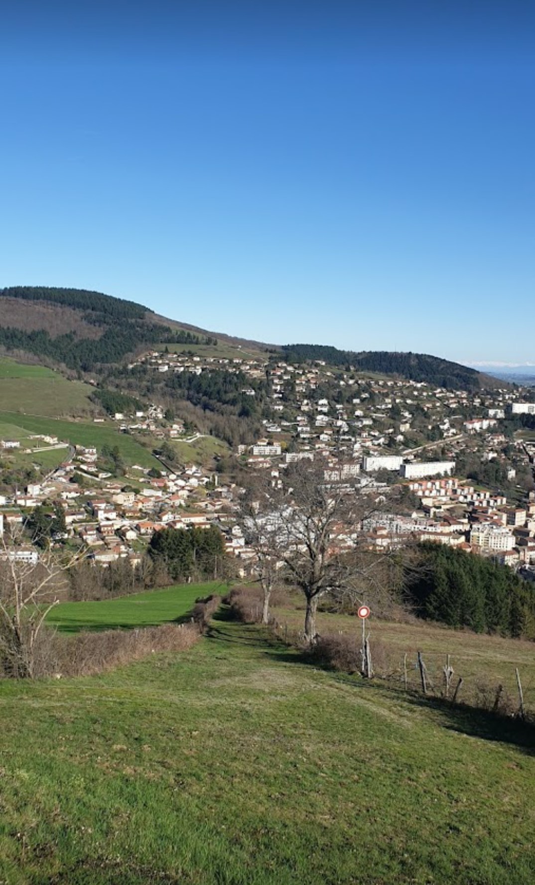 Cani-rando dans les environs de Tarare Cani-rando dans les environs de Tarare